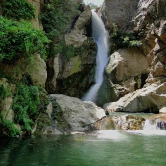 Meet your Posher, - Picture 6 of 7